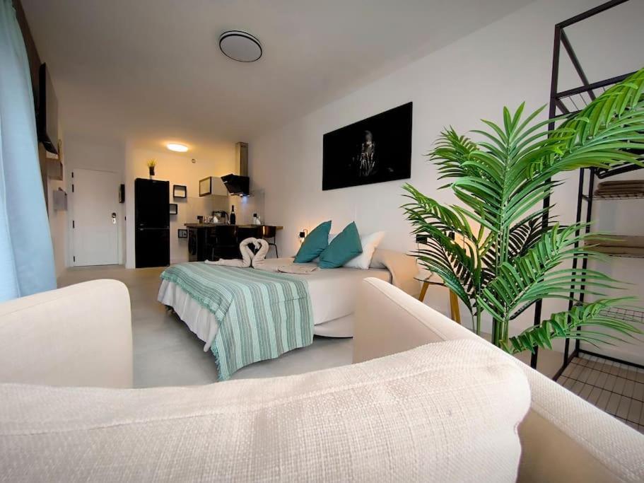 Bimba Park Apartment Santa Ursula (Tenerife)